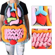 Load image into Gallery viewer, What&#39;s Inside Me Anatomy Apron - Gifteee. Find cool &amp; unique gifts for men, women and kids
