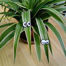 Load image into Gallery viewer, Plant Magnets Eyes for Potted Plants
