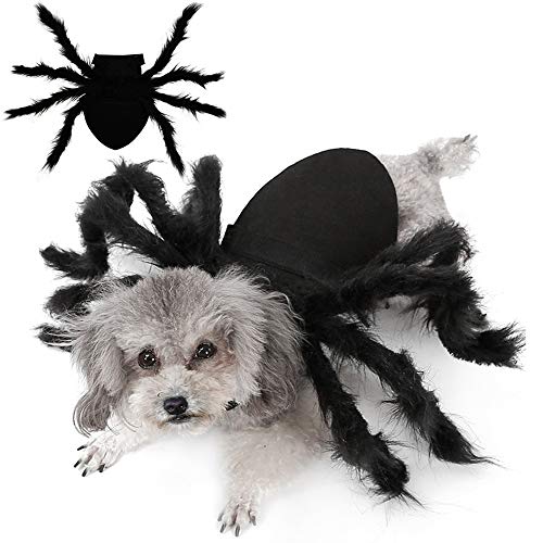 Dogs Cats Spider Costume - Gifteee Unique & Unusual gifts, Cool gift ideas