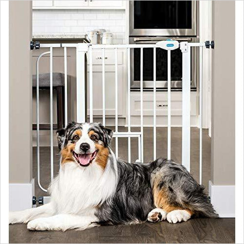 Walk Through Gate with a Small Door - Gifteee. Find cool & unique gifts for men, women and kids