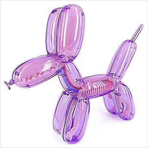 Balloon Dog Anatomy Model - Gifteee Unique & Unusual gifts, Cool gift ideas