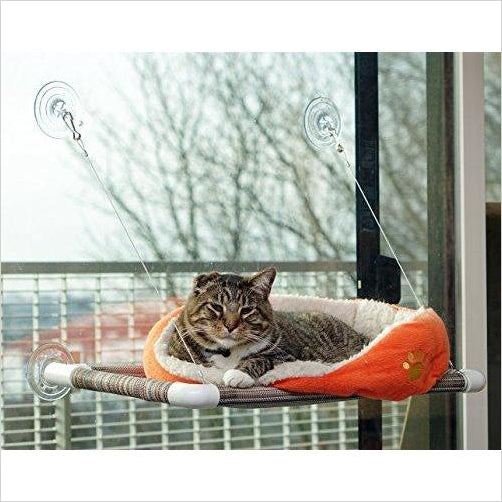 World's Best Cat Perch - Gifteee Unique & Unusual gifts, Cool gift ideas