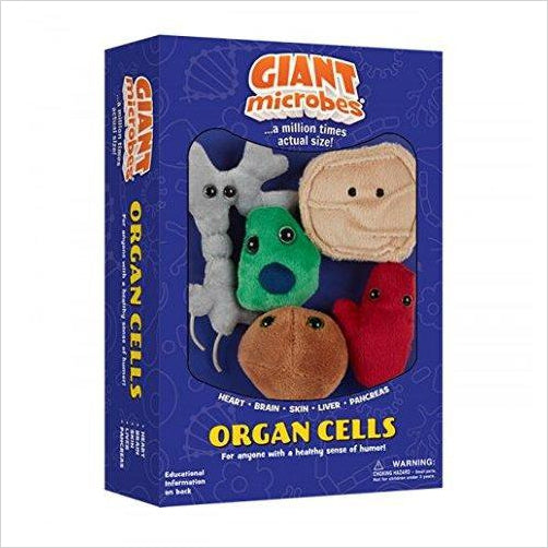 Organ Cell Plush Toys (Pack of 5) - Gifteee Unique & Unusual gifts, Cool gift ideas