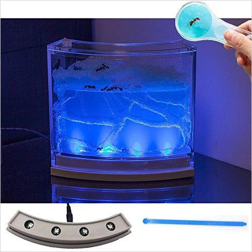 LED Lighted Ant Farm - Gifteee Unique & Unusual gifts, Cool gift ideas