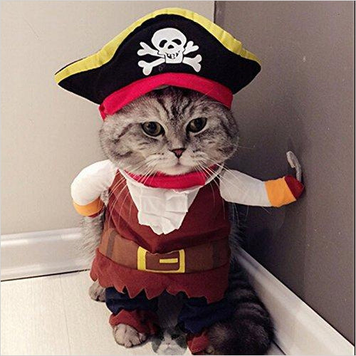 Pet Pirate Costume (Dog/Cat) - Gifteee Unique & Unusual gifts, Cool gift ideas