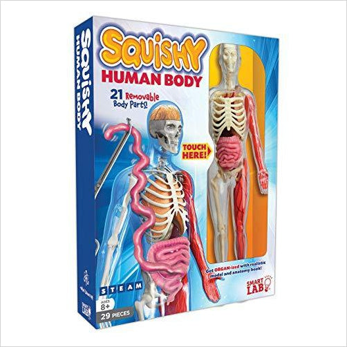 Squishy Human Body - Gifteee Unique & Unusual gifts, Cool gift ideas