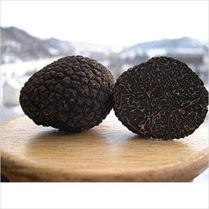 Black Truffle Mushrooms Seeds Kit for Planting - Gifteee. Find cool & unique gifts for men, women and kids