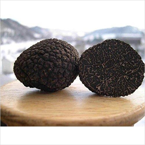 Black Truffle Mushrooms Seeds Kit for Planting - Gifteee Unique & Unusual gifts, Cool gift ideas