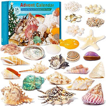 Load image into Gallery viewer, Seashell Advent Calendar
