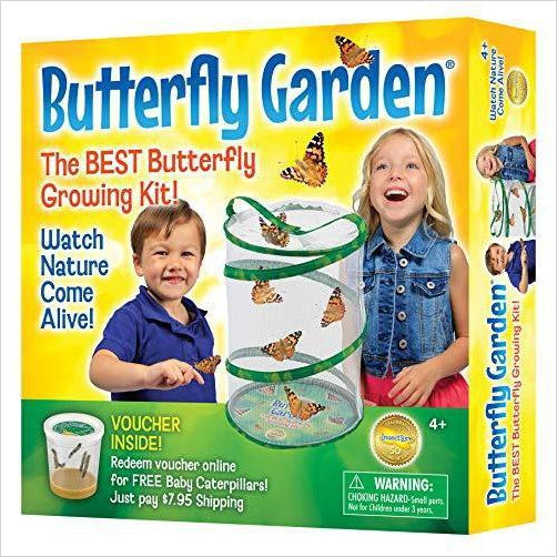 Insect Lore Butterfly Growing Kit - Gifteee Unique & Unusual gifts, Cool gift ideas