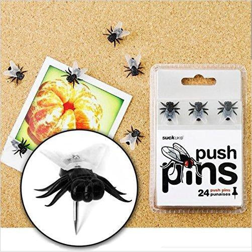 Fly Push Pins - Gifteee Unique & Unusual gifts, Cool gift ideas