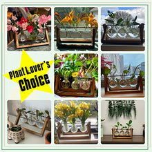 Load image into Gallery viewer, Air Planter Bulb Vase
