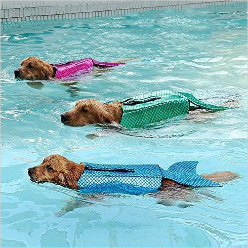 Dog Life Jacket - Gifteee Unique & Unusual gifts, Cool gift ideas