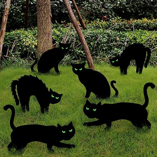 Black Cat Halloween Decor - Gifteee Unique & Unusual gifts, Cool gift ideas