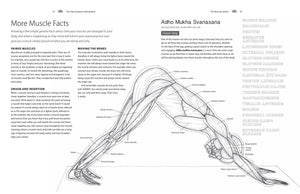 The Yoga Anatomy Coloring Book: A Visual Guide to Form, Function, and Movement - Gifteee. Find cool & unique gifts for men, women and kids