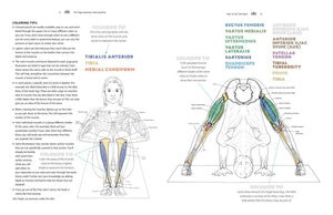 The Yoga Anatomy Coloring Book: A Visual Guide to Form, Function, and Movement - Gifteee. Find cool & unique gifts for men, women and kids