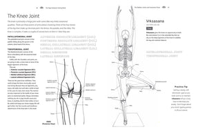 The Yoga Anatomy Coloring Book: A Visual Guide to Form, Function, and Movement - Gifteee. Find cool & unique gifts for men, women and kids