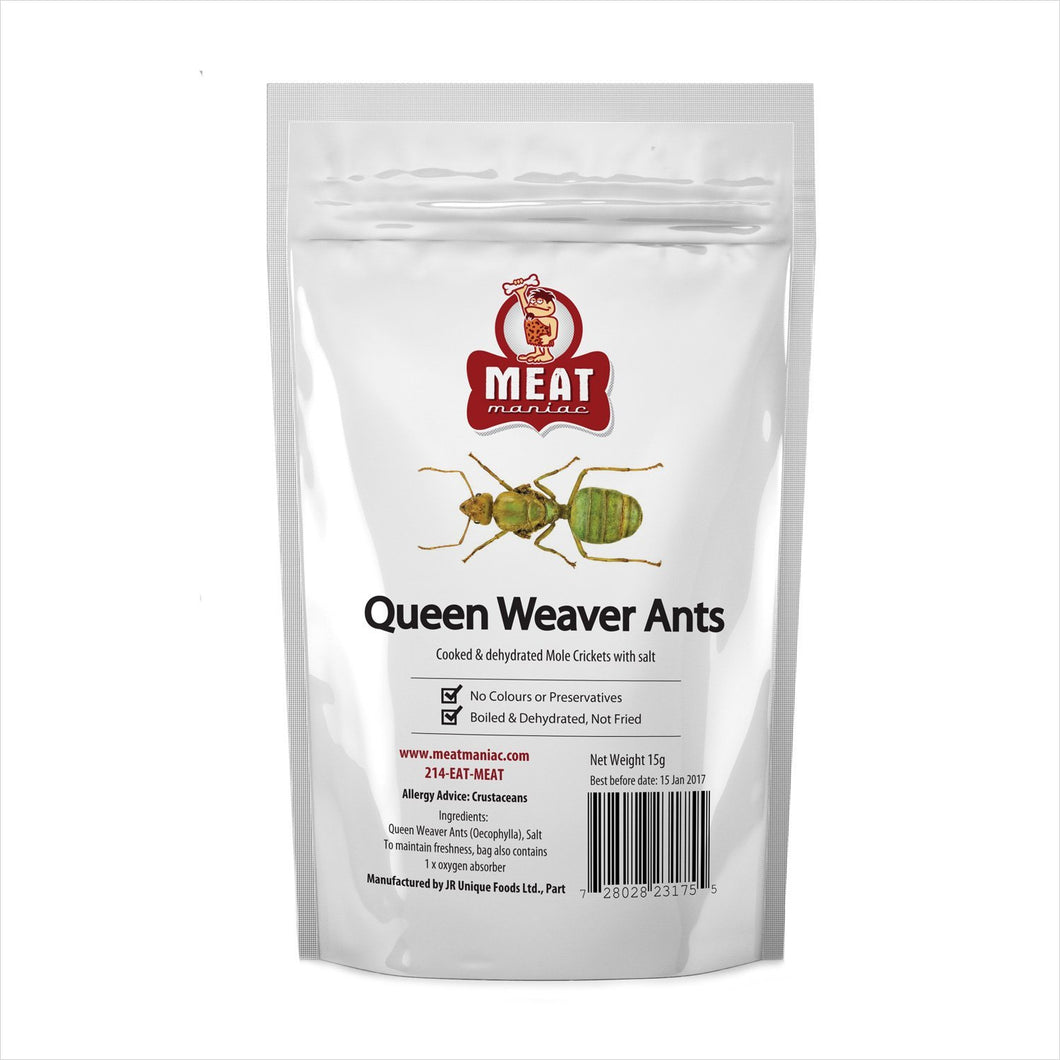 Salted Queen Weaver Ants - Gifteee Unique & Unusual gifts, Cool gift ideas