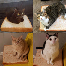 Load image into Gallery viewer, Bread Slice Cat Bed - Gifteee Unique &amp; Unusual gifts, Cool gift ideas
