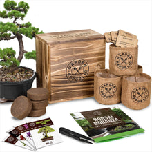 Load image into Gallery viewer, Bonsai Tree Seed Starter Kit - Gifteee. Find cool &amp; unique gifts for men, women and kids
