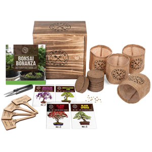 Bonsai Tree Seed Starter Kit - Gifteee. Find cool & unique gifts for men, women and kids