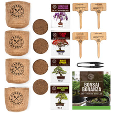 Load image into Gallery viewer, Bonsai Tree Seed Starter Kit - Gifteee. Find cool &amp; unique gifts for men, women and kids
