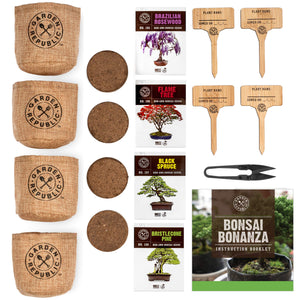 Bonsai Tree Seed Starter Kit - Gifteee. Find cool & unique gifts for men, women and kids