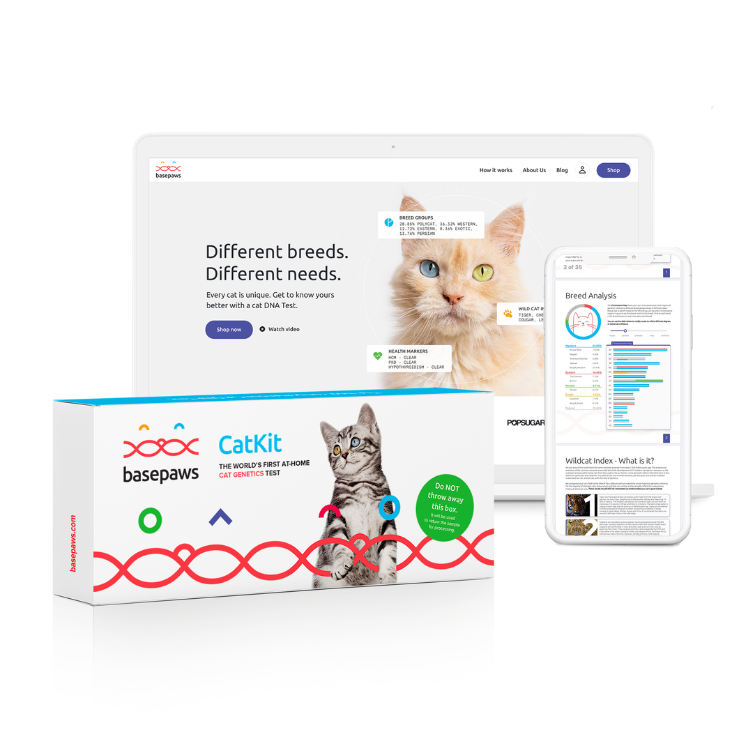 Cat DNA Test - The Whole Genome Sequencing - Gifteee Unique & Unusual gifts, Cool gift ideas