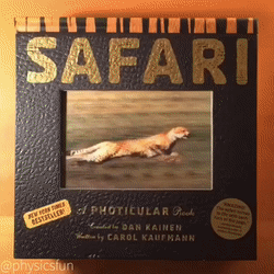Safari: A Photicular Book - Gifteee. Find cool & unique gifts for men, women and kids