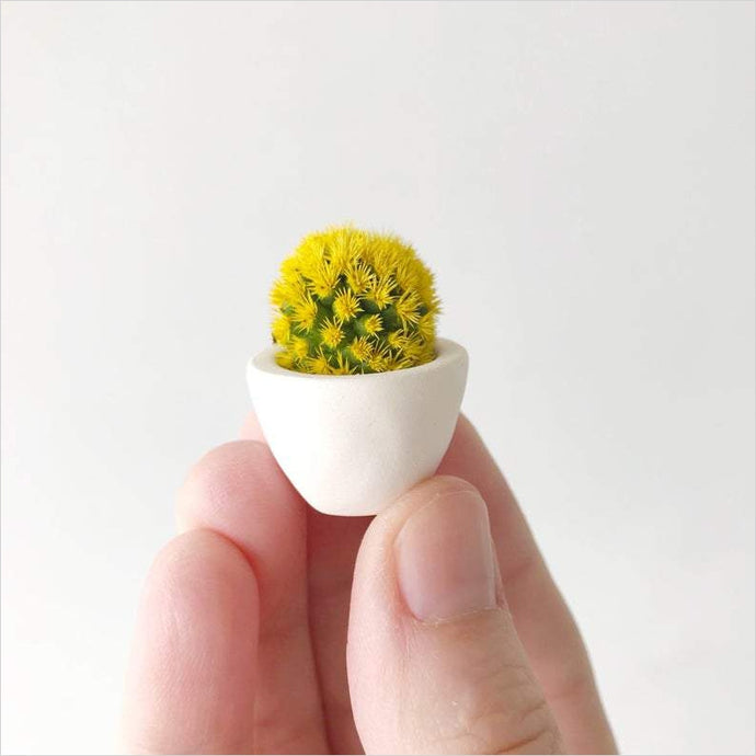 Florinda Mini Cactus and Mini Planter - Gifteee. Find cool & unique gifts for men, women and kids