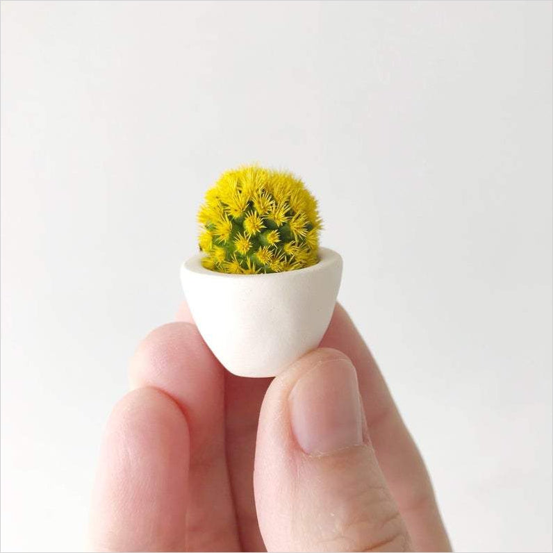 Florinda Mini Cactus and Mini Planter - Gifteee Unique & Unusual gifts, Cool gift ideas