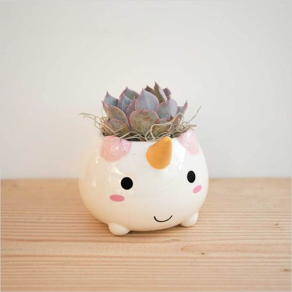 Unicorn Flower Pots - Gifteee. Find cool & unique gifts for men, women and kids